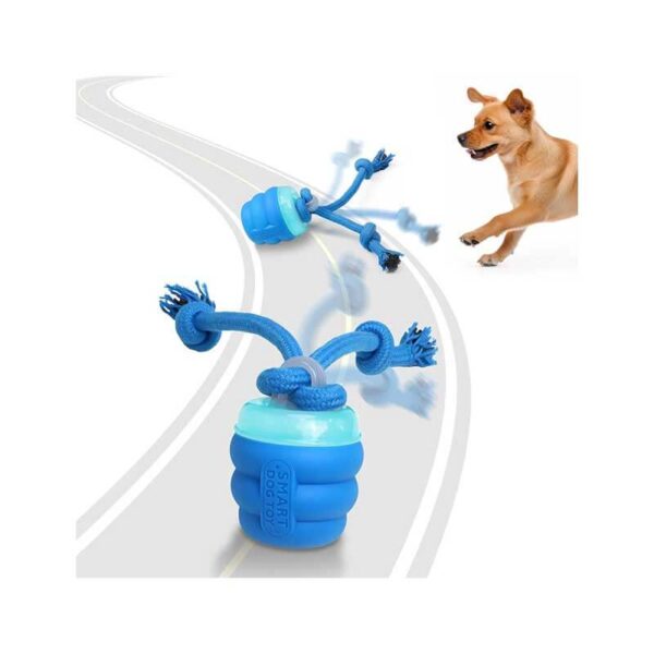 Interactive Dog Toys with Motion Activated, Squeaky Dog Toy Active Rolling Ball Wicked Ball for Daily Training
